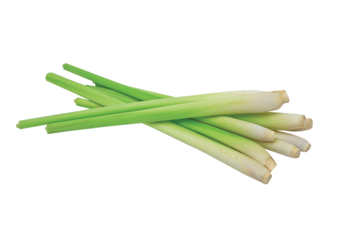 Lemongrass Essential Oil 30ML - SyraSkins Pte. Ltd.