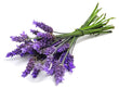 Lavender Essential Oil - 1000ML - SyraSkins Pte. Ltd.