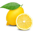 Lemon Essential Oil 30ML - SyraSkins Pte. Ltd.
